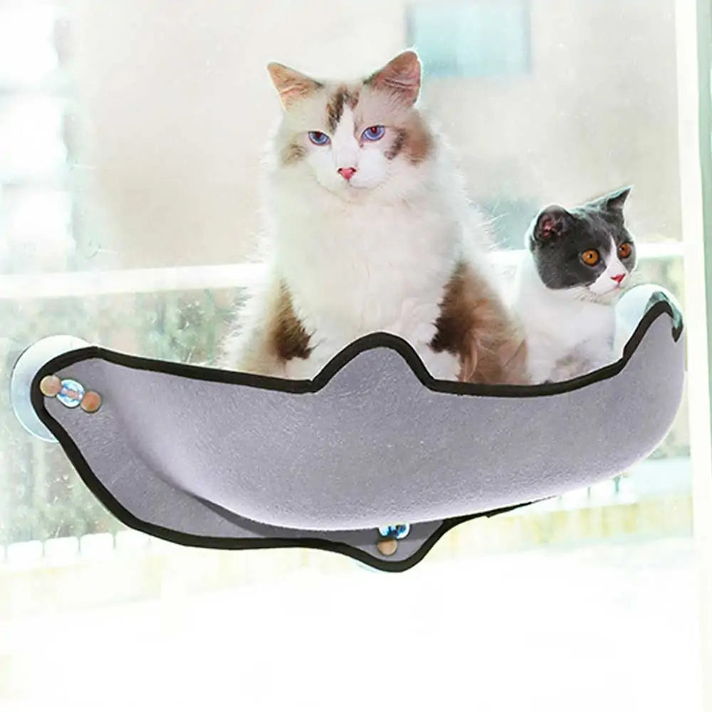 Deluxe Cat Wall Hammock Set