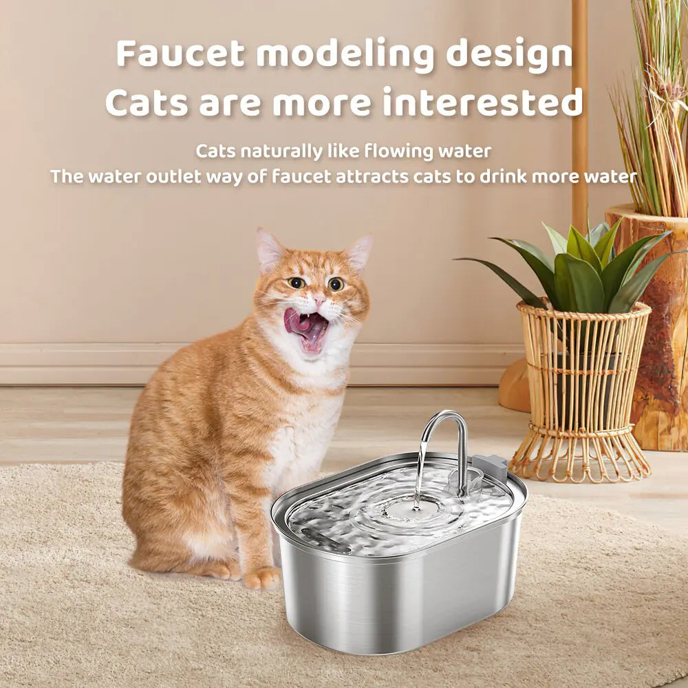 Stainless Steel Cat Hydration Station